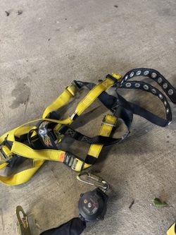 Safety Harness