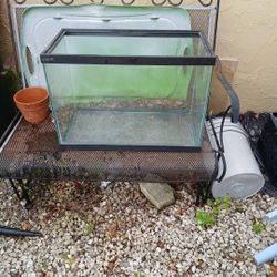 20 Gallon Tank