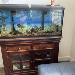 70 Gallon Aquarium And Cabinet