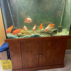 Fish Tank With Wood Cabinet 