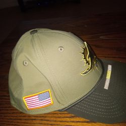 Brand New Miami Dolphins Hat,Does Not Fit Me$20 Cash 