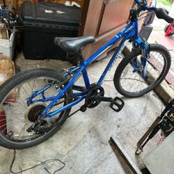 Specialized Hot rock 20”. 
