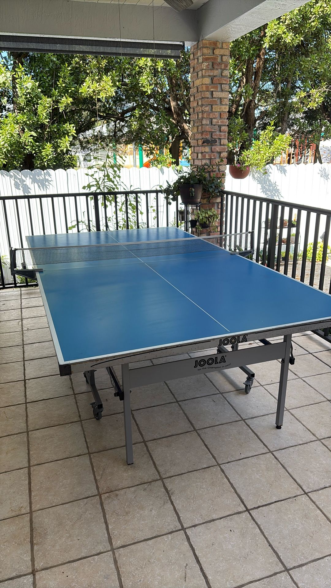 Table Tennis 