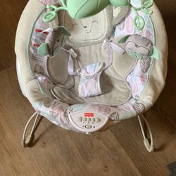 Baby Bouncer 