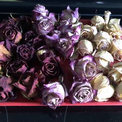 *Pending*. *FREE*. Dried Full Size Roses For Crafting