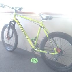 Cannondale Catalyst