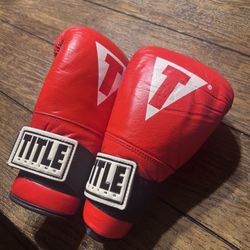 Title One MMA Gloves 