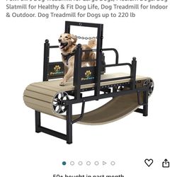 Dog Treadmill 