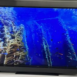 RCA Flat TV 60”