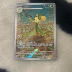 Dolliv Pokemon Card