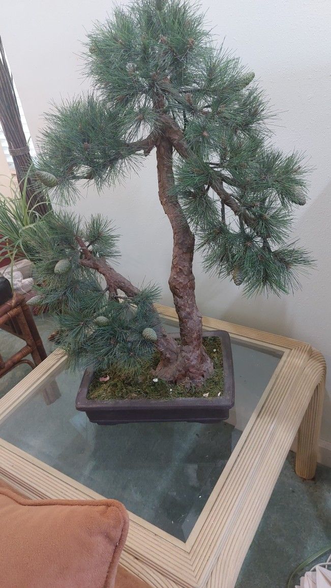Large Artificial Bonsai Tree