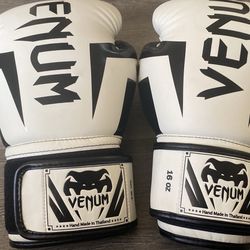 Venum Boxing Gloves 