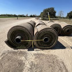 Grass rows 45 feet length & 3 feet wide…2  1/2  thick