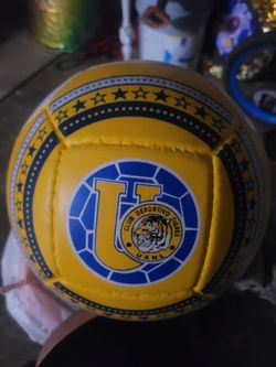 Tigres soccer ⚽️