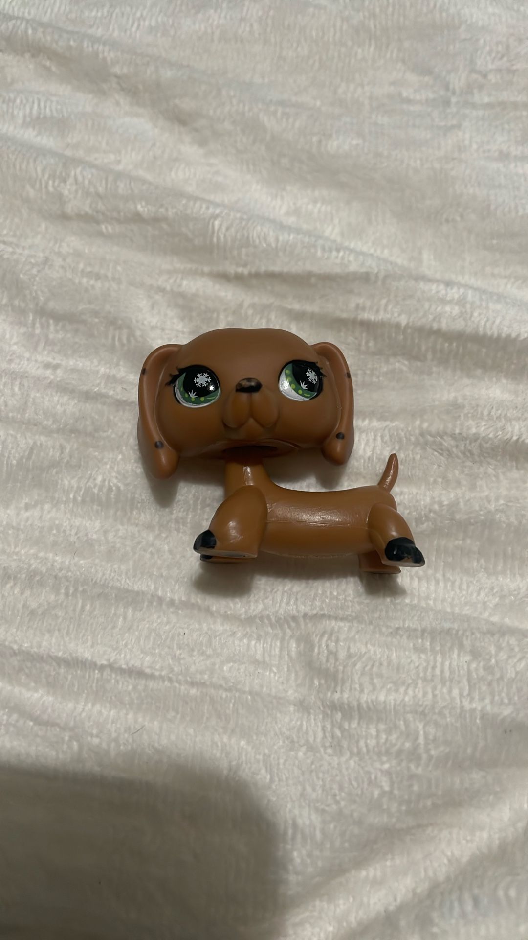 LPs Dog