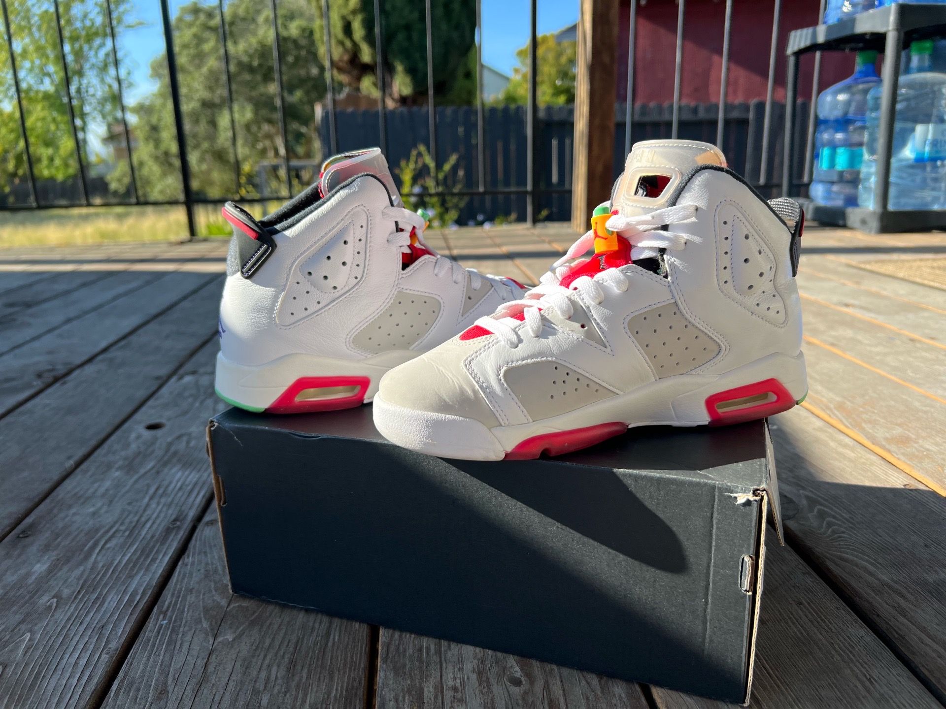Jordan Retro 6 ‘Hare’