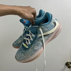 LeBron James  Size 12