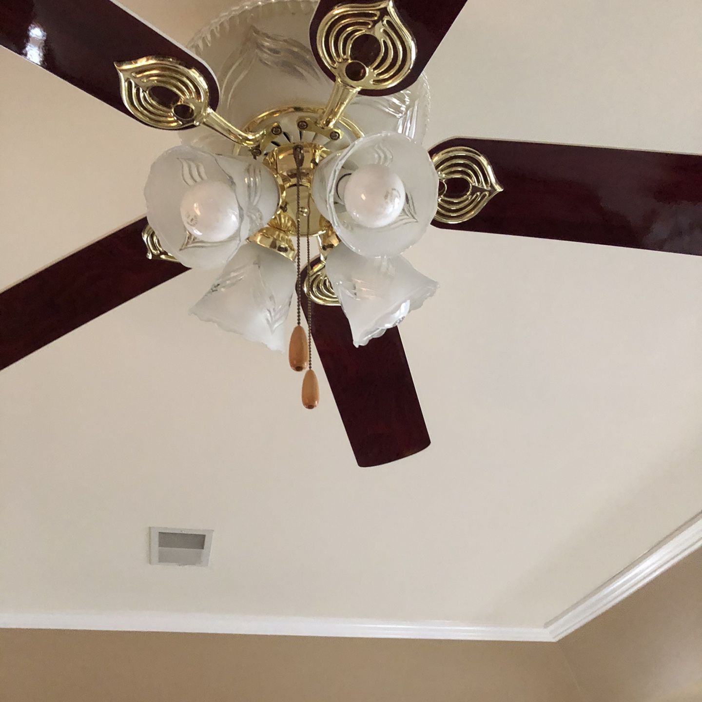 Beautiful 5 blade ceiling fan