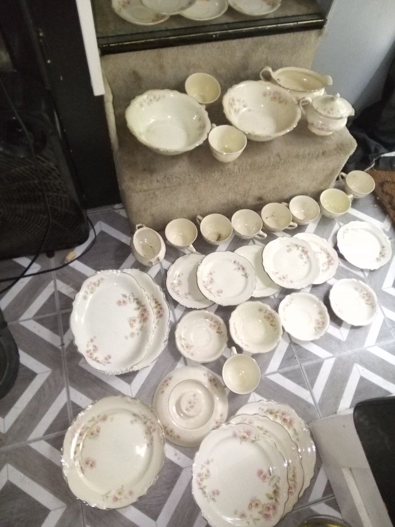 Homer Laughlin Virginia Rose China Set