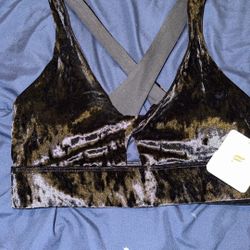 Fabletics Oasis Crushed Velour This Sports Bra
