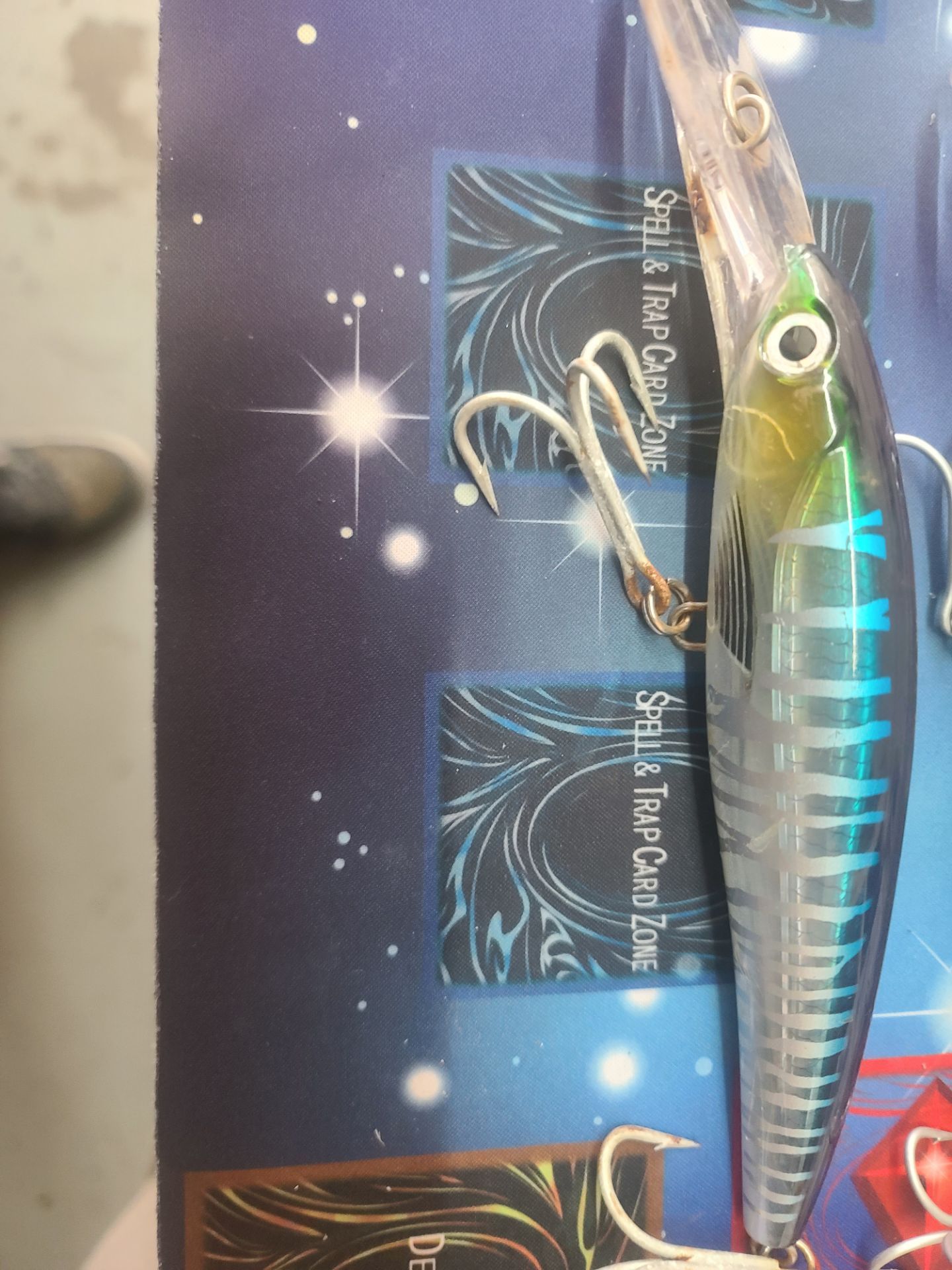 Rapala lot fishing Magnum 40 and 30