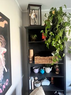 Tall Bookcase with Shelves