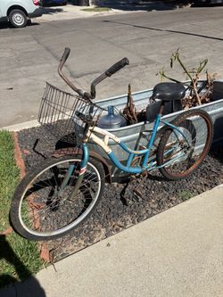 Schwinn beach cruiser