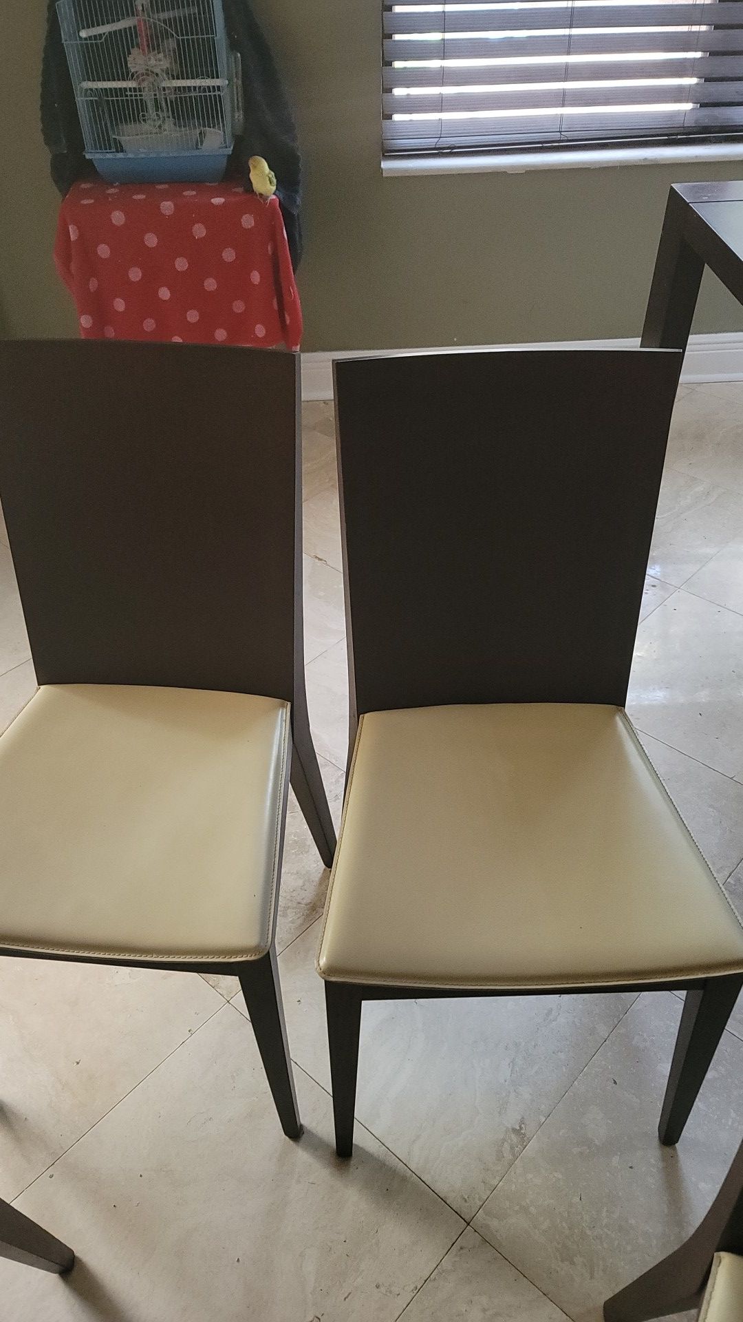 Calligaris chairs 6 Plus Table included for Free All Wenge Wood