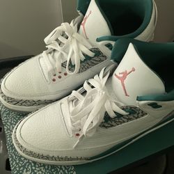 Jordan 3 Wizards Size 12