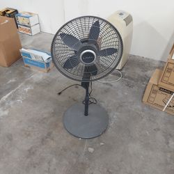 Fan