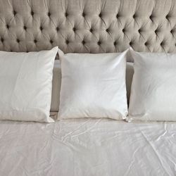 Euro Pillow inserts with silky zippered covers