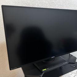 ASUS Computer Monitor 