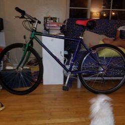 Trek All USA vintage Mtn Bike  Dark Purple To Evergreen Color Continuum  Transition 