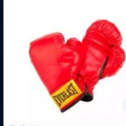 YOUTH $10 Boxing Gloves 