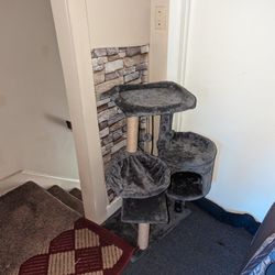 Cat Tree 