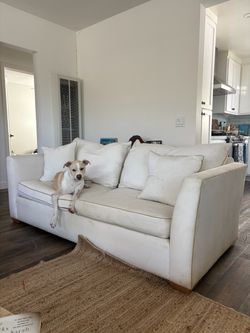 FREE COUCH