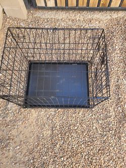 Dog Cage 