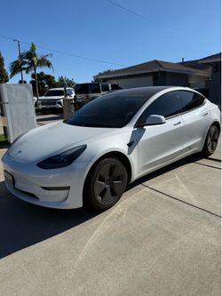 Tint for sale