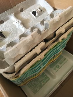 Egg cartons and paper towel rolls homesteader or craft