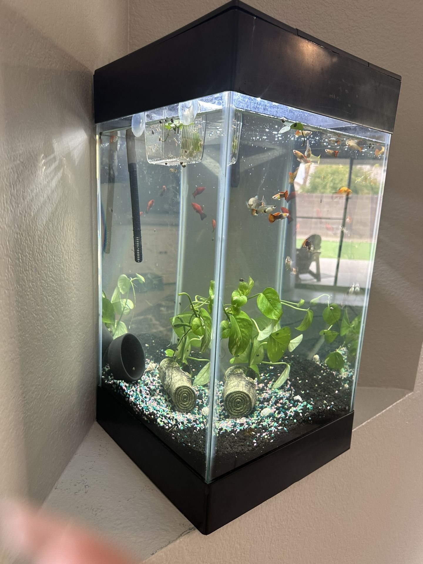 Tall Glass Fish Tank 13.5 X 25 15 Gallons