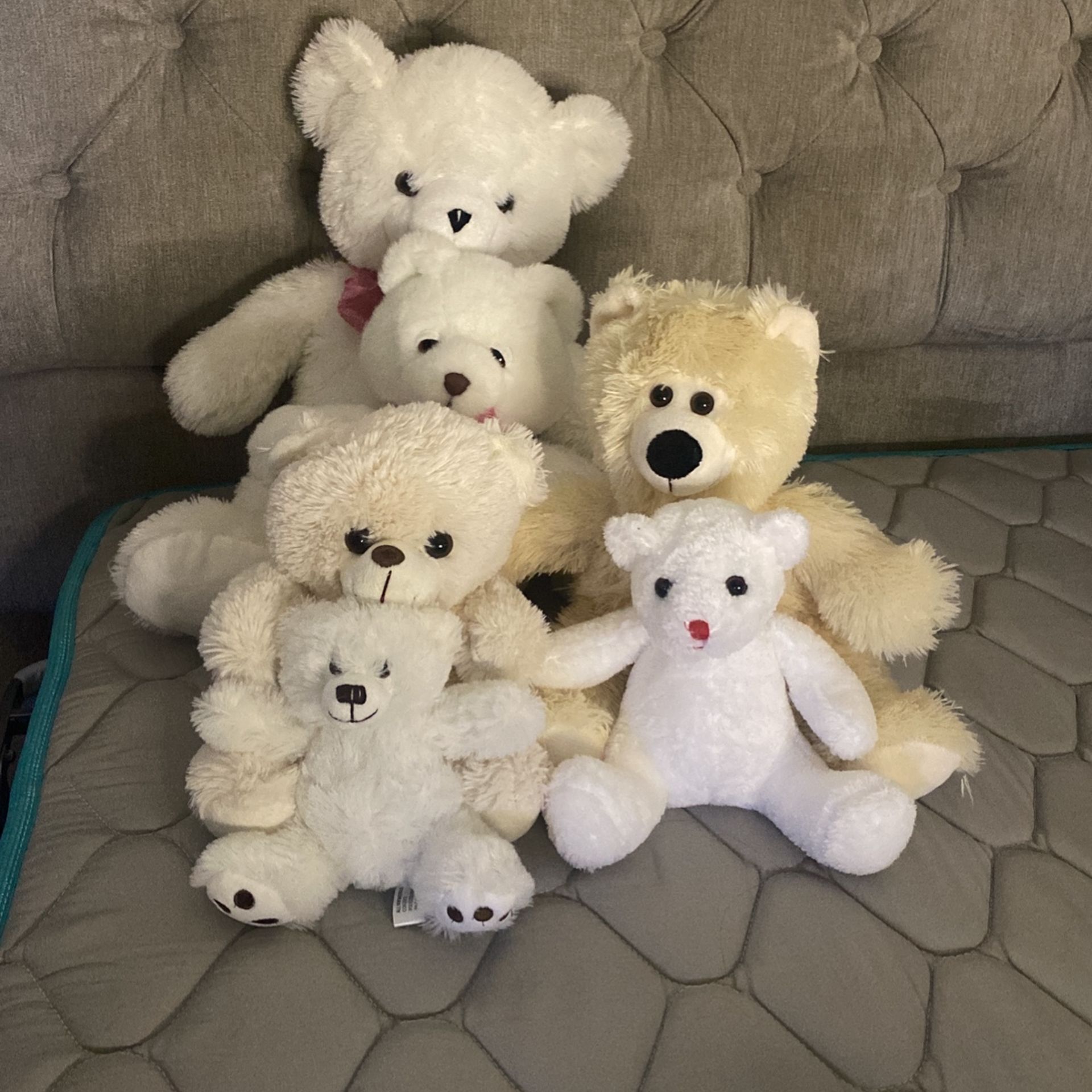 Teddy Bears 