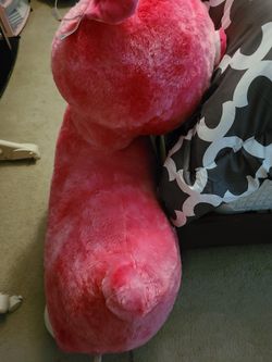 Lama 