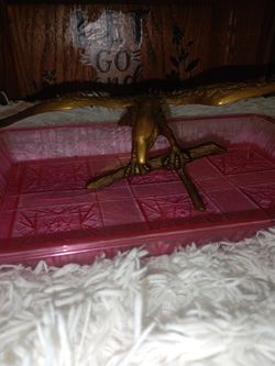 Vintage Solid Brass American Eagle 🦅 On Branch With Wide Wings Span For Sale.