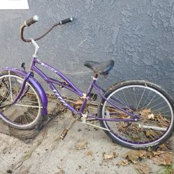Beach Cruiser