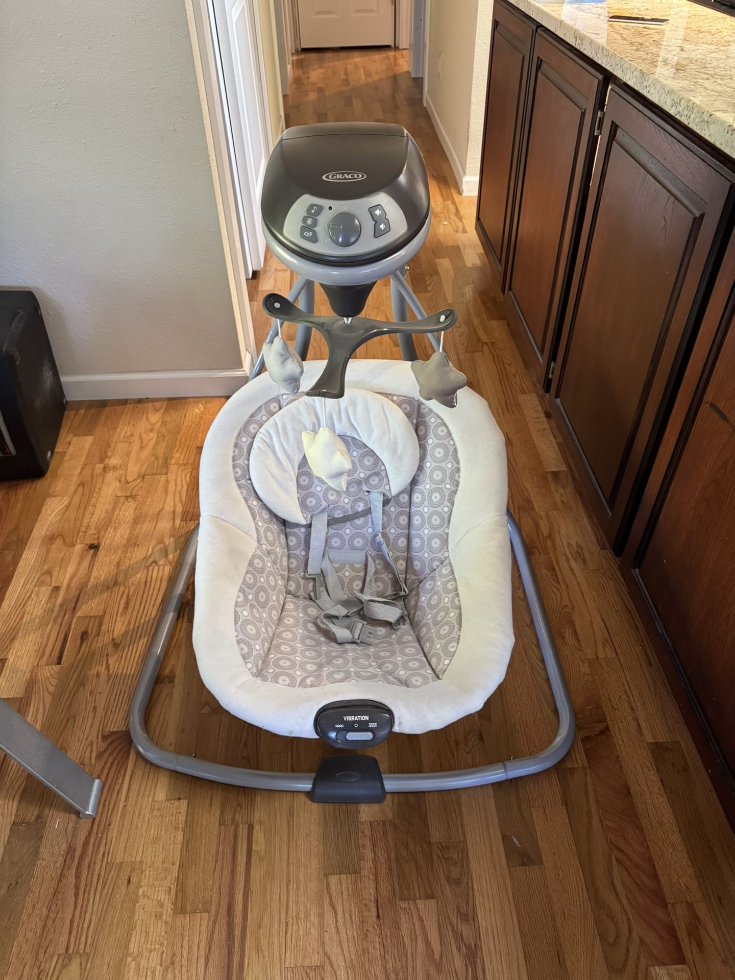 Graco Baby Swing
