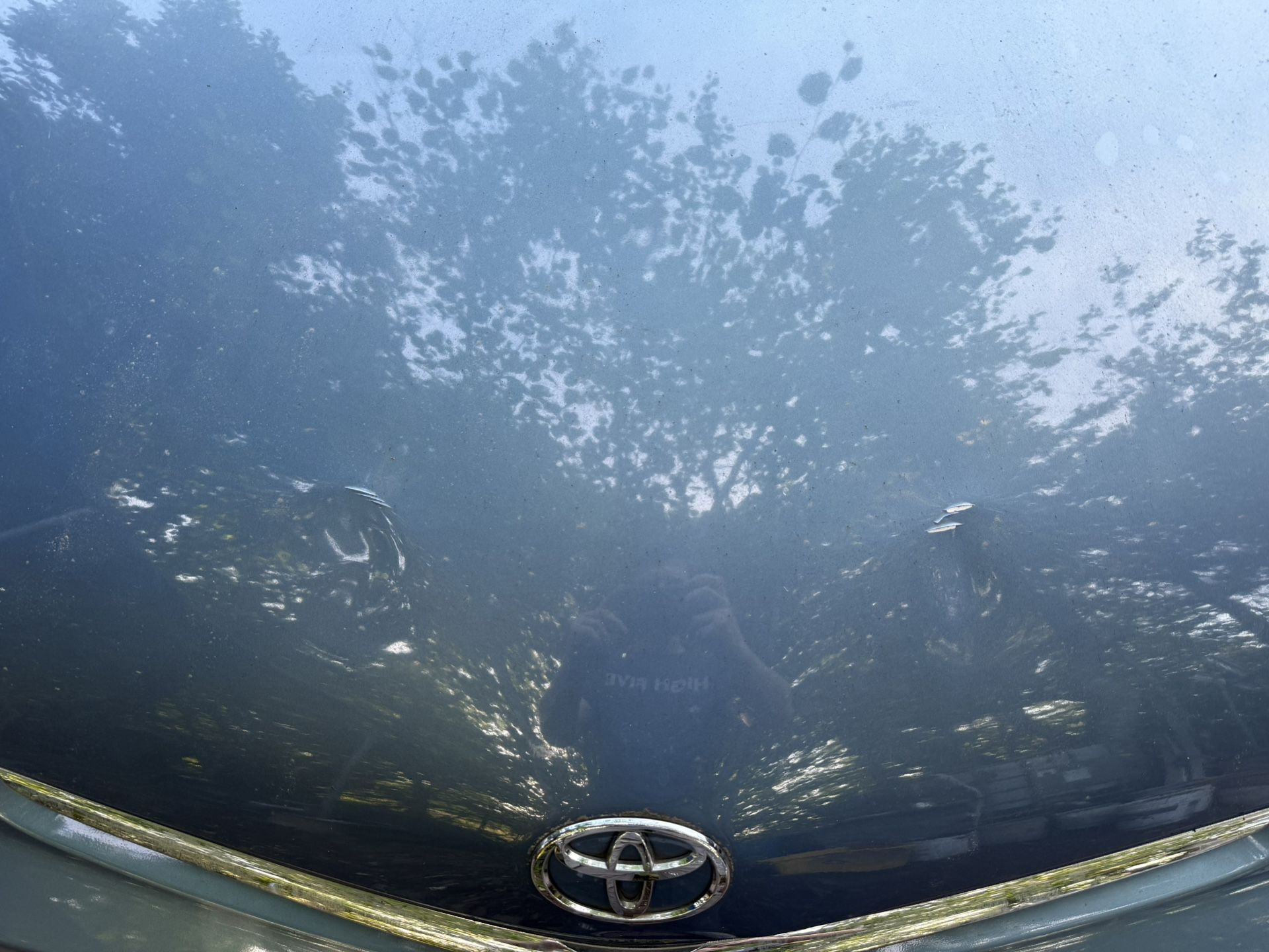 2004-2009 Prius Hood 