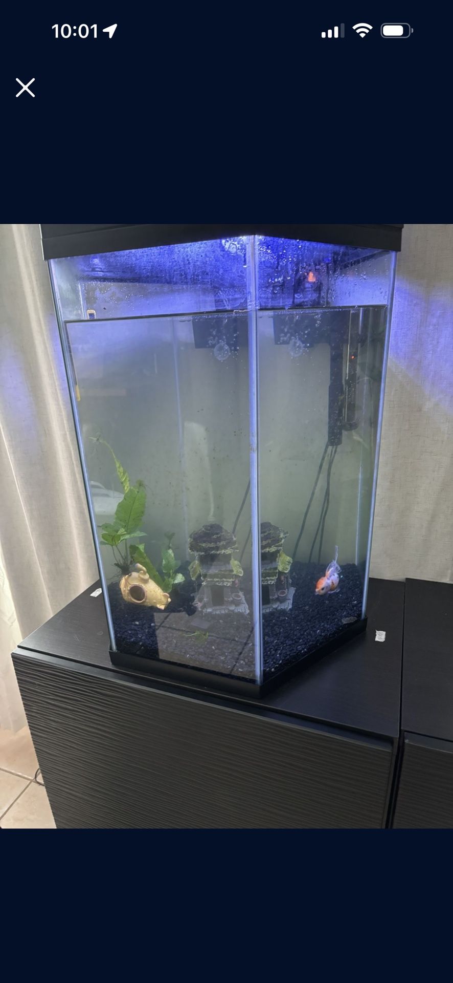 Fish Tank