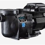 StaRite Pentair SuperMax VS Pump 343001