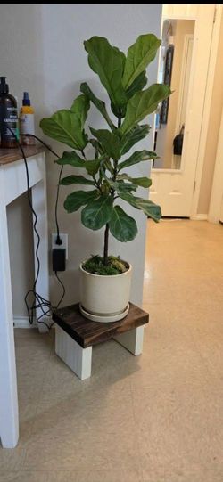 Wooden planter stand