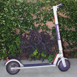 GOTRAX Electric Scooter (foldable)